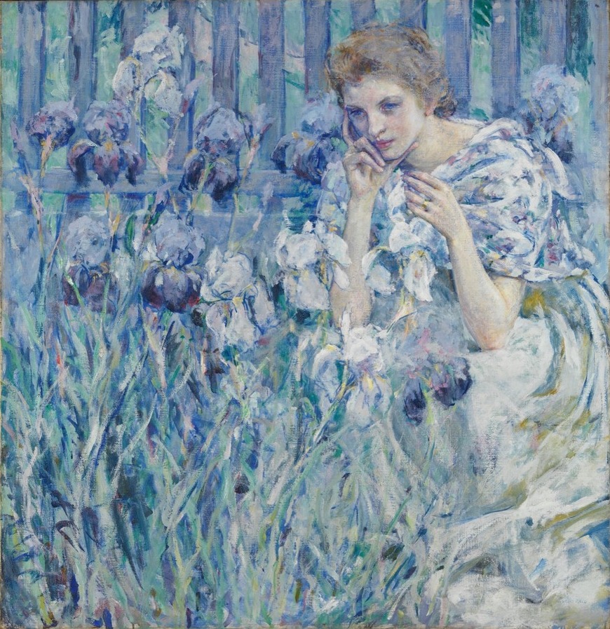 鸢尾花