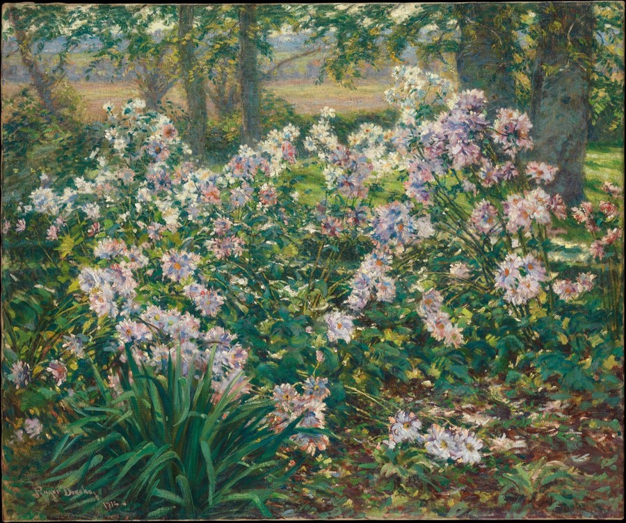 银莲花(风之花)