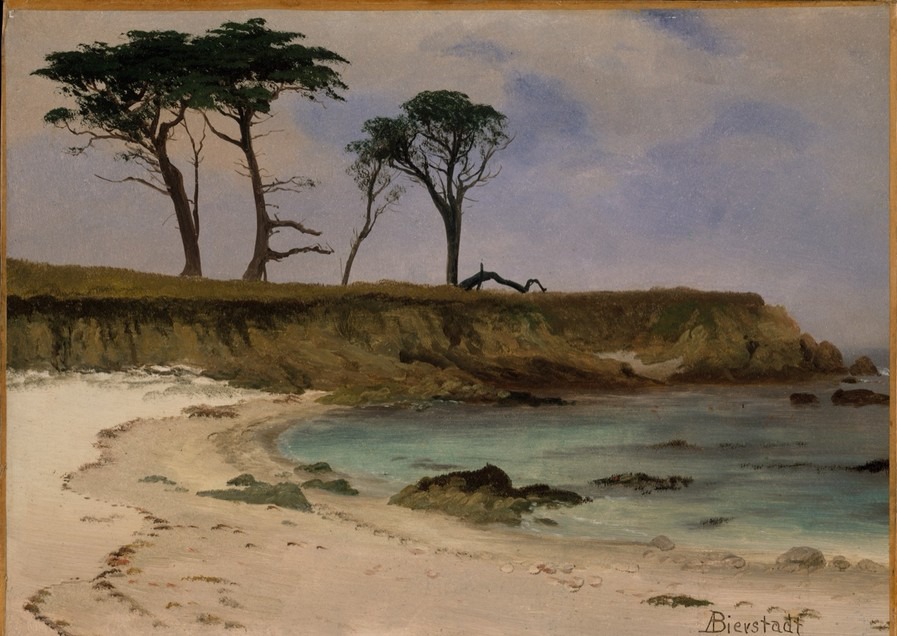 海滨小湾（Sea Cove）