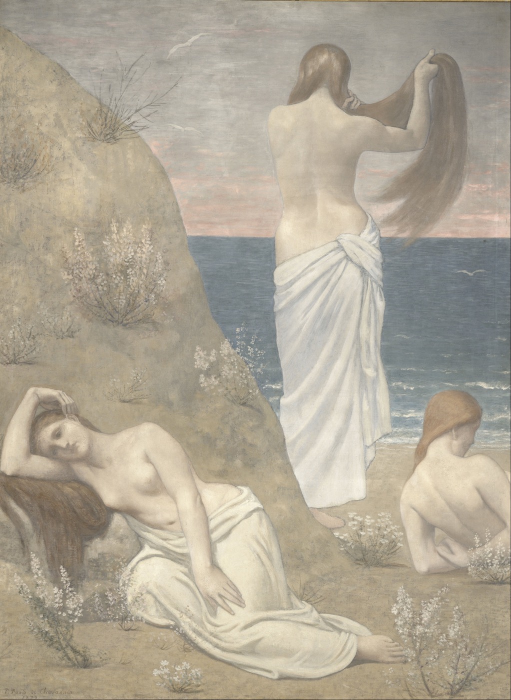 海边的少女们