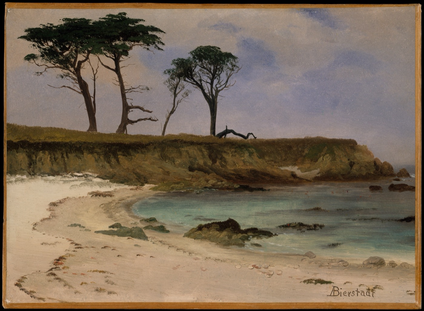 海滨小湾（Sea Cove）